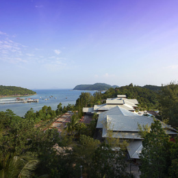 Overlooking the Sea