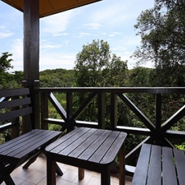 Rainforest Chalet Balcony View