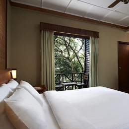 Rainforest Chalet Interior